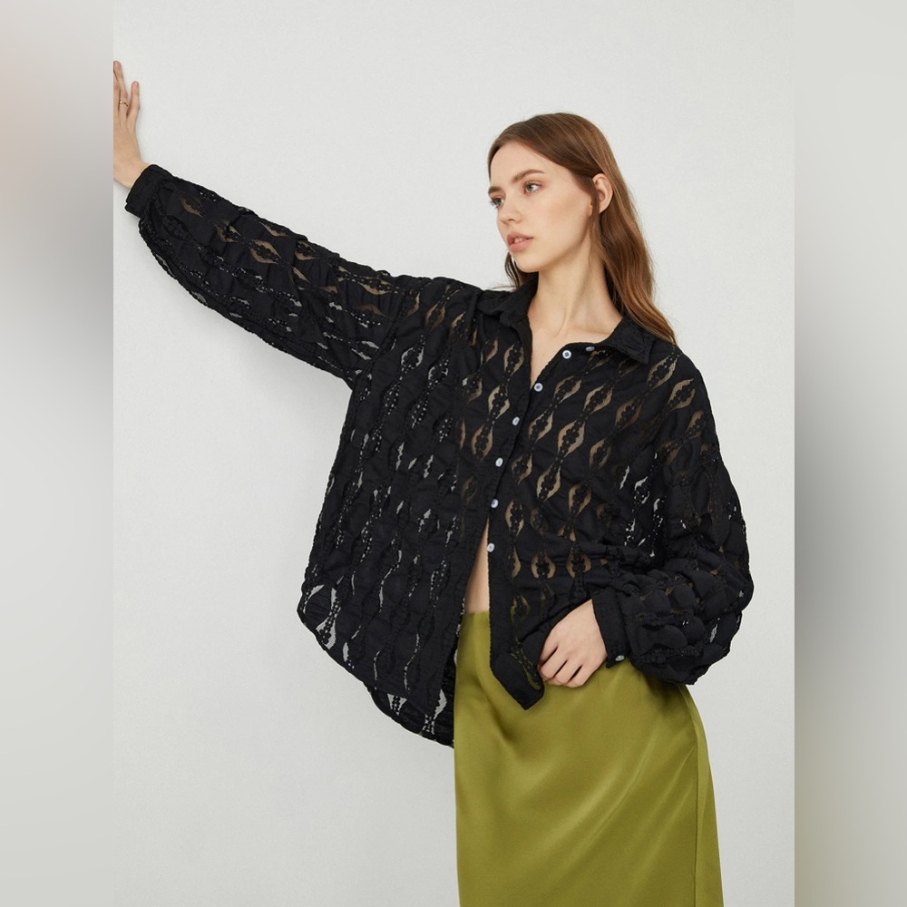 Bohme Black Sheer Blouse